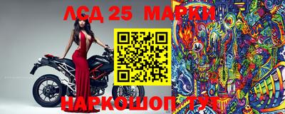 стафф Кандалакша