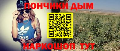 стафф Кандалакша