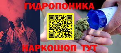 стафф Кандалакша