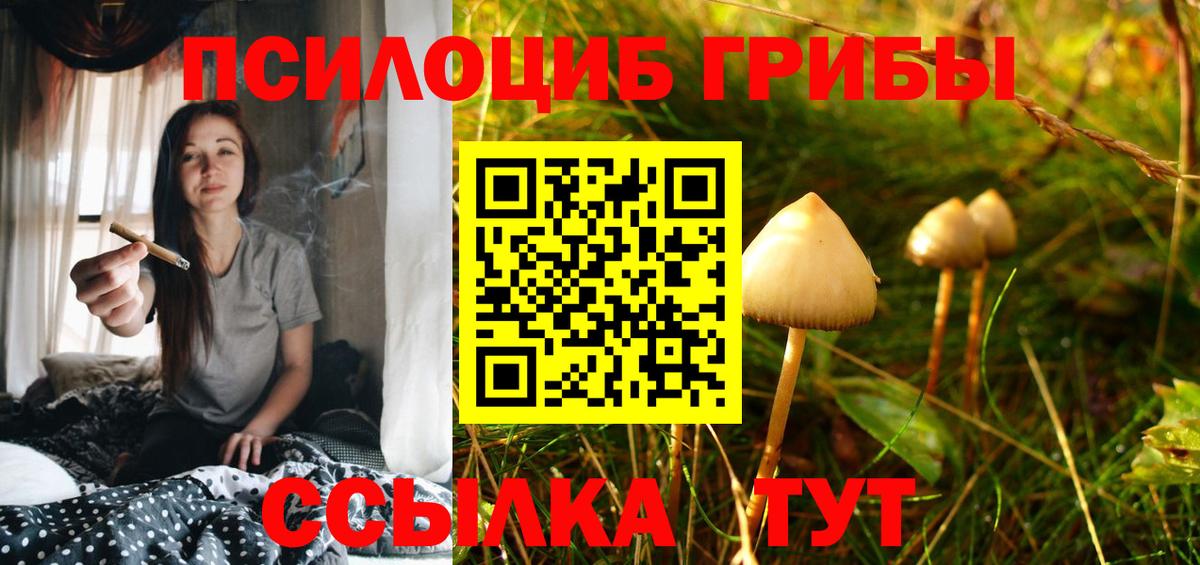 Псилоцибиновые грибы Psilocybe  Галлюциногенные грибы ЛСД  Красноуфимск  Вход с VPN 