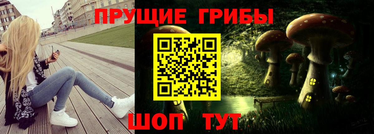 Псилоцибиновые грибы Psilocybe Красноуфимск
